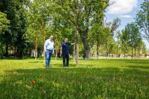 Parcul Armătura Cluj-Napoca