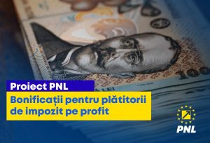 Senatorul Liviu Dumitru Voiculescu: Proiect PNL de bonificații pentru plătitorii de impozit pe profit